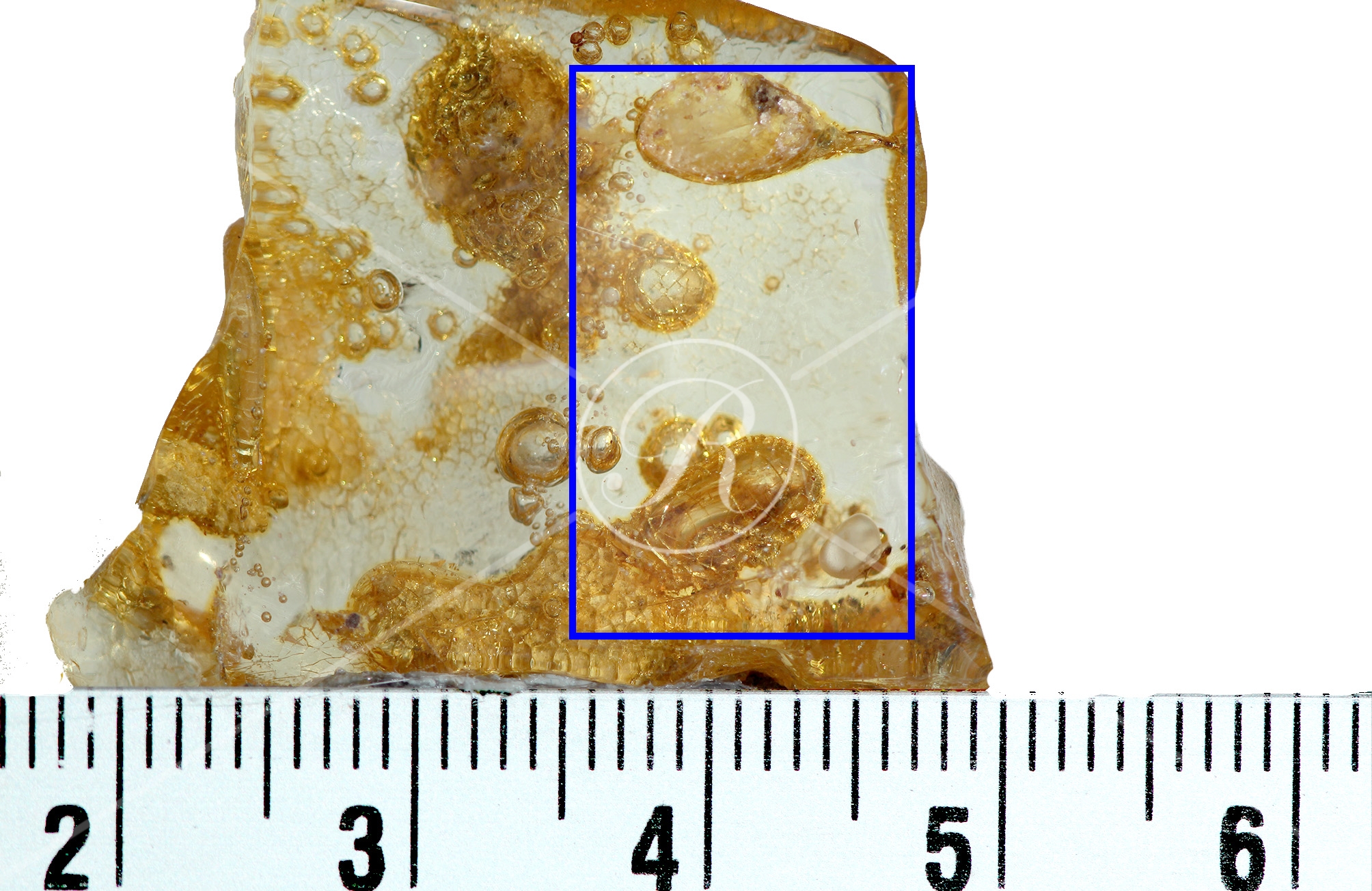 Watermark_220_N44 éch .jpg